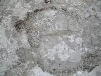 DSCN3243.webp