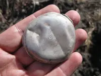 1800s coin 006.webp