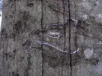 DSCN3263.webp