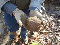 dan cannonball2.webp