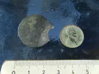 2010_0115thisweeksfinds0002.webp