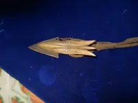 DSCN1107.webp