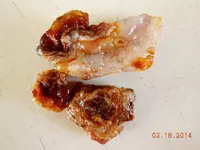 DSCN5896.webp