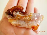 DSCN5897.webp