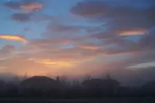 foggy morn 1.webp