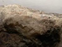 composite rusty rock 005.webp