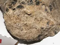 composite rusty rock 006.webp