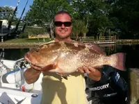 2013042695180951.webp