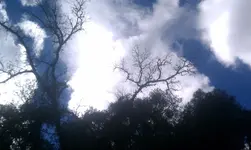 IMAG1330.webp