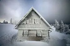 mdf749377600.webp