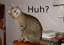 huh.webp