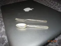 DSCN9788.webp