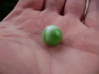 marbles 002.webp
