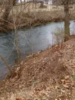image-1959963870.webp