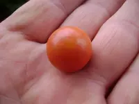 marbles 006.webp