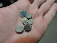 DSCN0180.webp