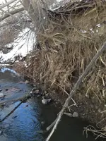 image-1818179663.webp