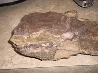 rock.webp