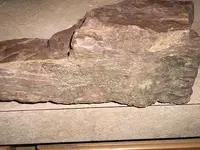 rock3.webp