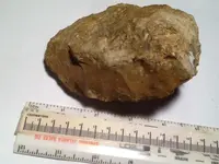 image-3033006163.webp