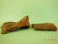DSCN5301.webp