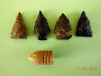 FSCN5303.webp