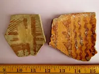 DSCN5347.webp