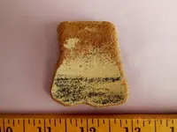 DSCN5348.webp