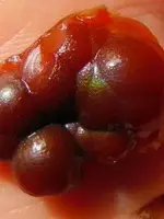 RSCN5328.webp