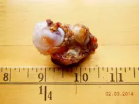 DSCN5488.webp