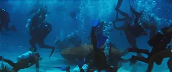 ball-underwater-.webp ball-underwater-.webp