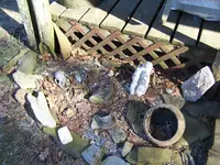 Assorted Pickin.webp