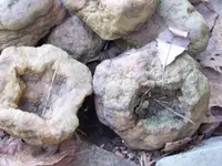 open Geode.webp