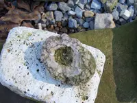Quartz Bowl 1.webp