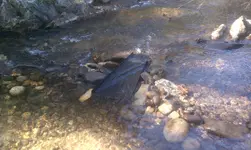 IMAG1296.webp IMAG1296.webp