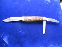 DSCN1000.webp