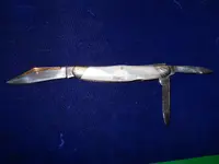 DSCN1015.webp