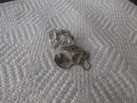 DSCF0768.webp