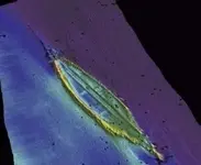 sunken-ships-300x247.webp sunken-ships-300x247.webp