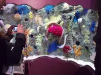 DSCN0202.webp
