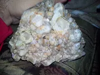 image.webp