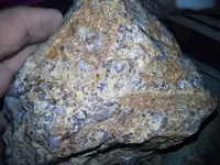 image.webp