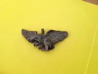 eagle.webp