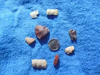 DSCN0391.webp
