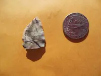 DSCN0509.webp
