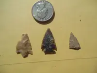 DSCN0536.webp