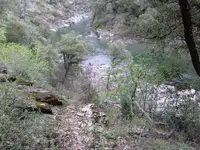 CAM00190.webp