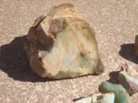 DSCN1476.webp