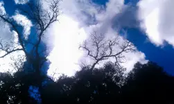 IMAG1330-2.webp