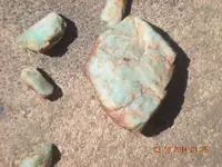 DSCN1477.webp